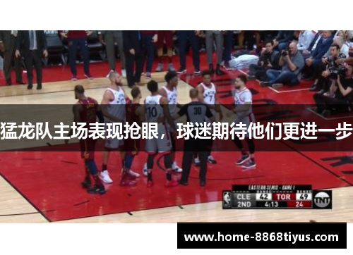 猛龙队主场表现抢眼，球迷期待他们更进一步