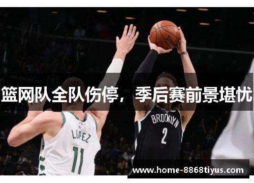 篮网队全队伤停，季后赛前景堪忧